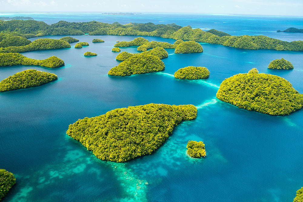 Palau bans a large number sunscreens to protect the reefs